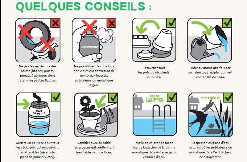 Conseils de lutte contre le moustique tigre sous forme de vignettes illustrée