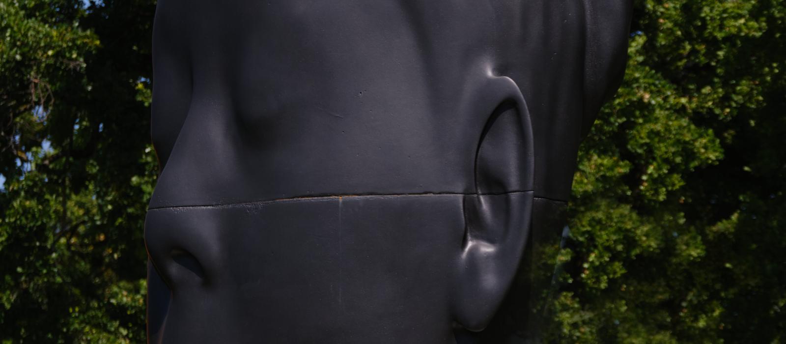 Plensa, Jaume: Wilsis (2016)