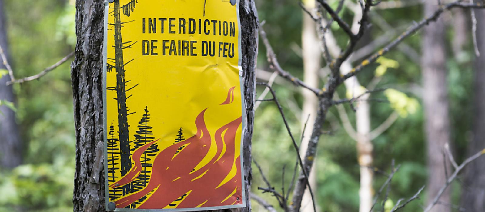 Interdiction des feux en forêt Interdiction des feux en forêt