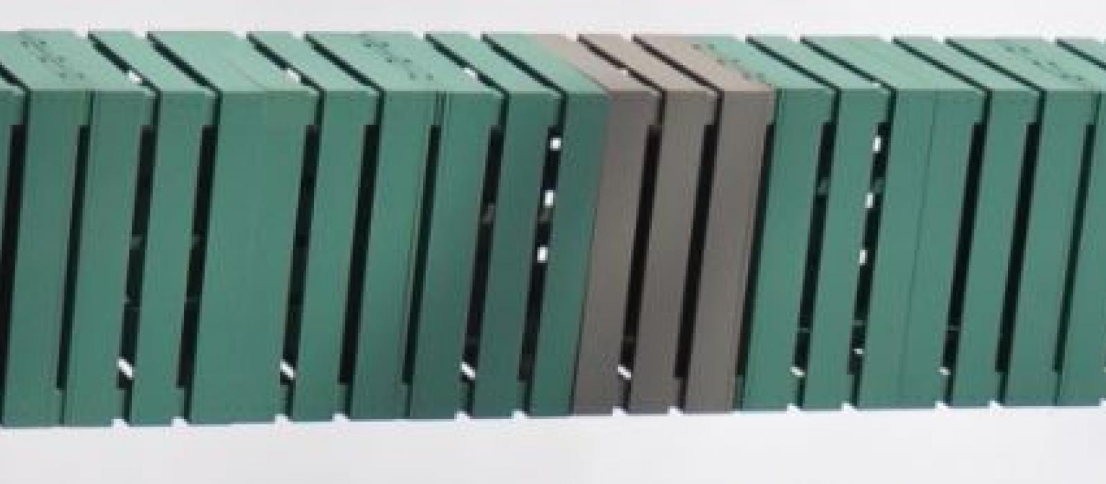Valentin Carron: Dust Mint Valentin Carron: Dust Mint